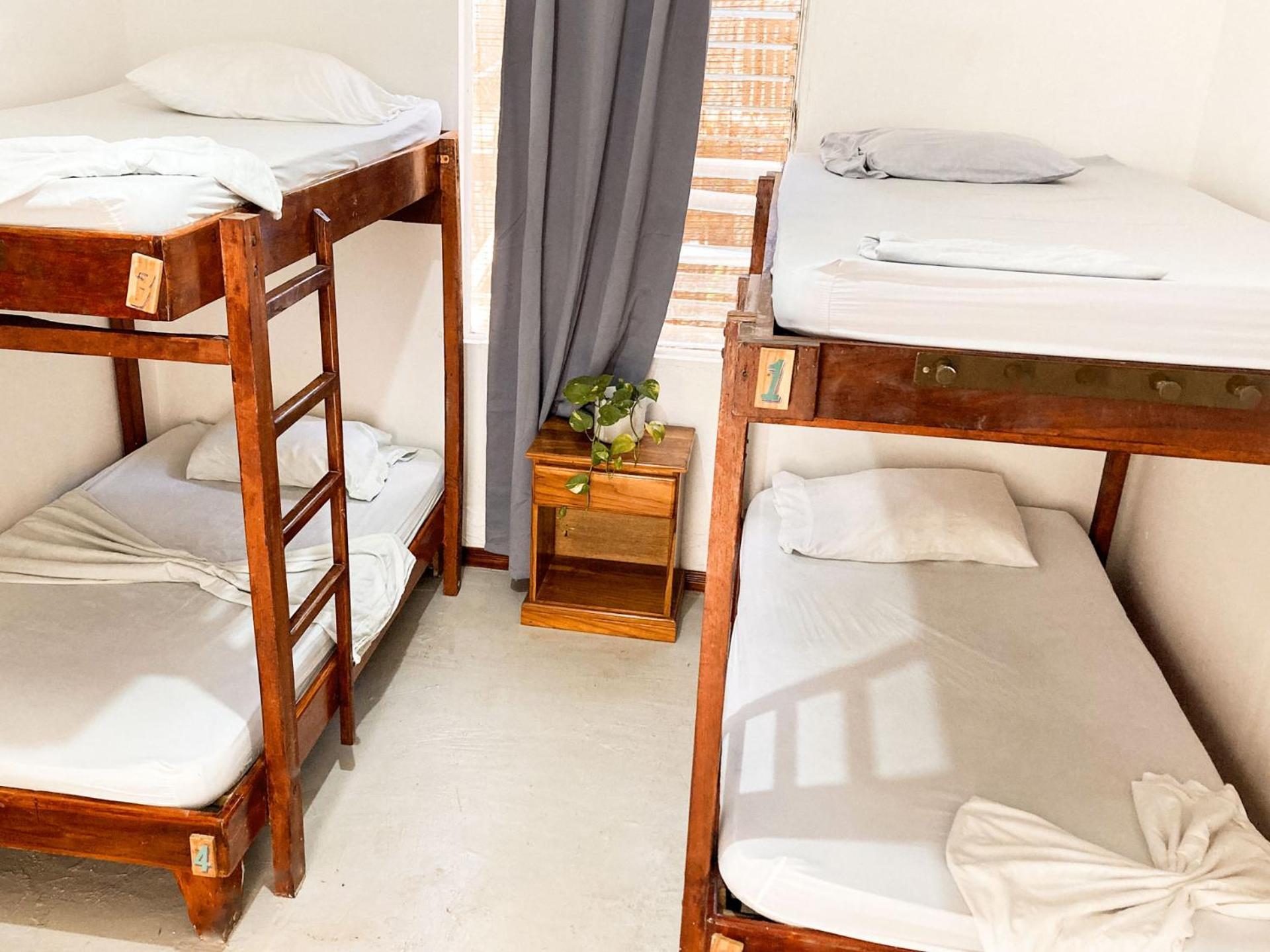 La Posada - Hostel Playa Santa Teresa  ภายนอก รูปภาพ